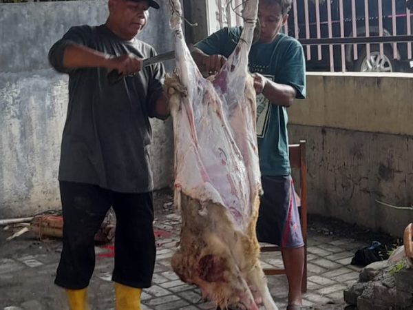 SMK Muhammadiyah Minggir Gelar Kegiatan “Berbagi dengan Hewan Kurban” SMK Muhammadiyah Minggir Gelar Kegiatan “Berbagi dengan Hewan Kurban”