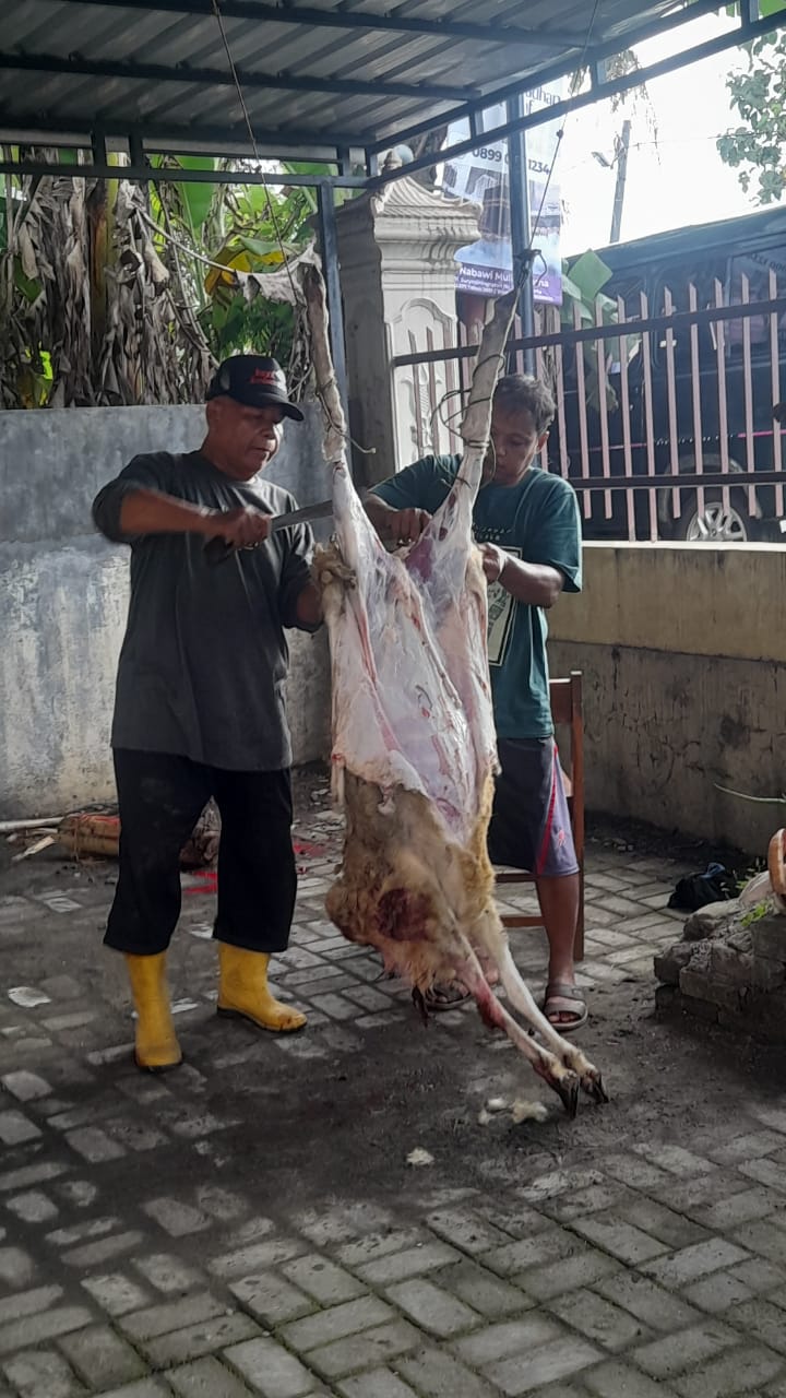 SMK Muhammadiyah Minggir Gelar Kegiatan “Berbagi dengan Hewan Kurban”